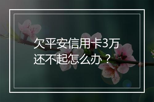 欠平安信用卡3万还不起怎么办？