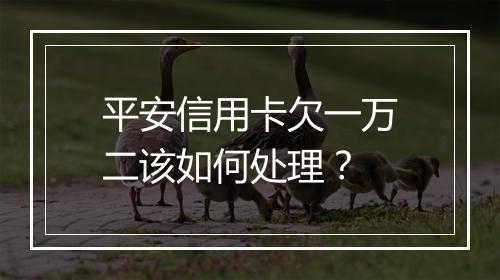 平安信用卡欠一万二该如何处理？