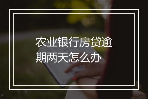 农业银行房贷逾期两天怎么办