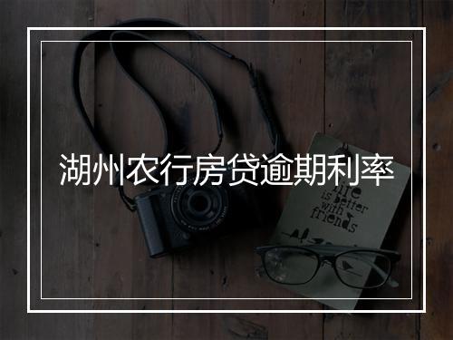 湖州农行房贷逾期利率