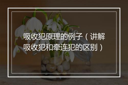 吸收犯原理的例子（讲解吸收犯和牵连犯的区别）