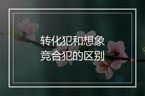 转化犯和想象竞合犯的区别