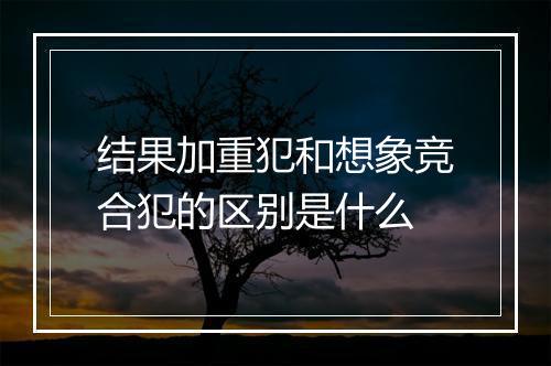结果加重犯和想象竞合犯的区别是什么
