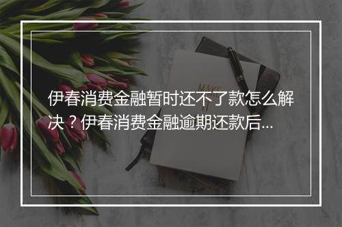 伊春消费金融暂时还不了款怎么解决？伊春消费金融逾期还款后果