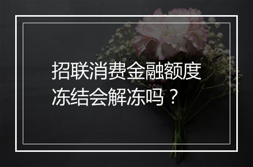 招联消费金融额度冻结会解冻吗？