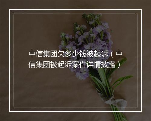 中信集团欠多少钱被起诉（中信集团被起诉案件详情披露）