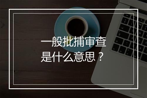 一般批捕审查是什么意思？