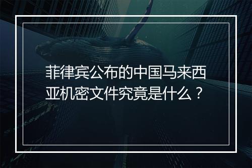 菲律宾公布的中国马来西亚机密文件究竟是什么？