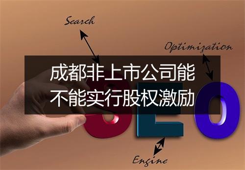 成都非上市公司能不能实行股权激励