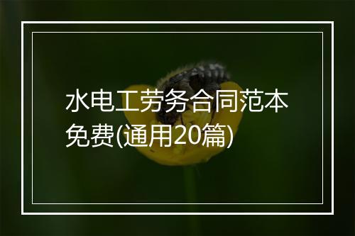 水电工劳务合同范本免费(通用20篇)