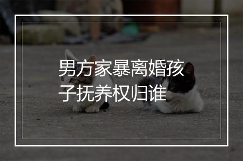 男方家暴离婚孩子抚养权归谁