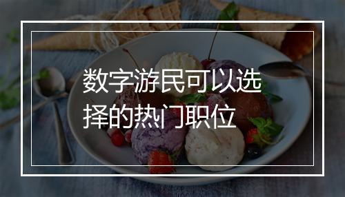 数字游民可以选择的热门职位