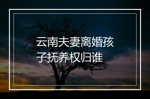 云南夫妻离婚孩子抚养权归谁