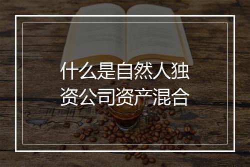 什么是自然人独资公司资产混合