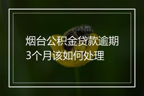 烟台公积金贷款逾期3个月该如何处理