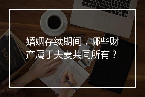婚姻存续期间，哪些财产属于夫妻共同所有？