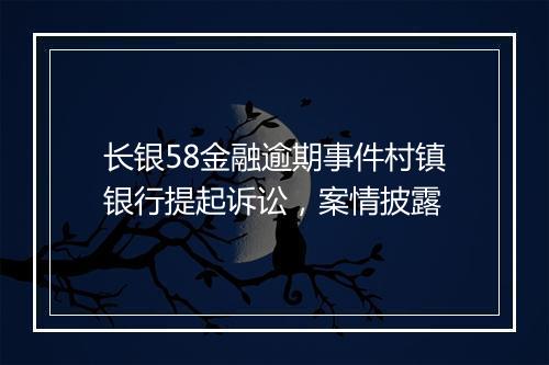 长银58金融逾期事件村镇银行提起诉讼，案情披露