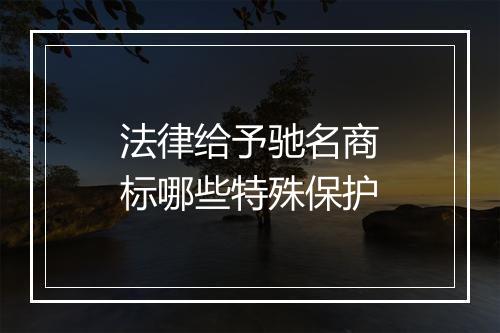 法律给予驰名商标哪些特殊保护