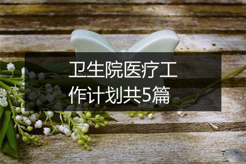 卫生院医疗工作计划共5篇