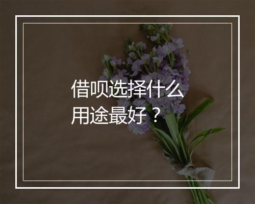 借呗选择什么用途最好？