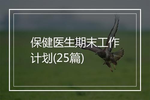 保健医生期末工作计划(25篇)