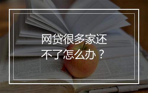 网贷很多家还不了怎么办？