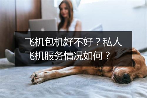 飞机包机好不好？私人飞机服务情况如何？