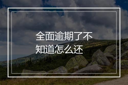 全面逾期了不知道怎么还
