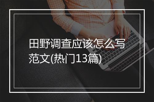 田野调查应该怎么写范文(热门13篇)