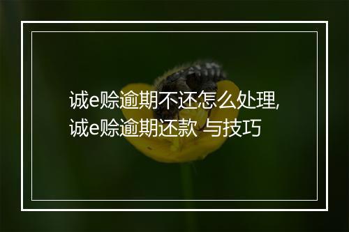 诚e赊逾期不还怎么处理,诚e赊逾期还款 与技巧