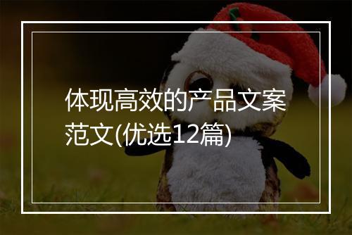 体现高效的产品文案范文(优选12篇)