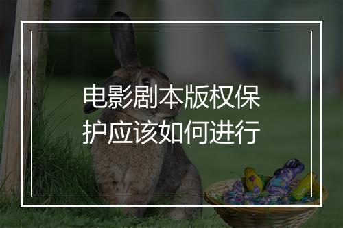 电影剧本版权保护应该如何进行