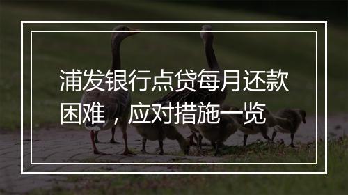 浦发银行点贷每月还款困难，应对措施一览