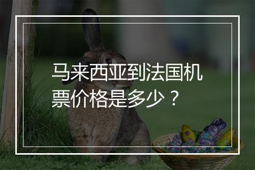 马来西亚到法国机票价格是多少？