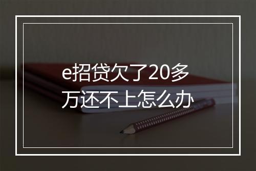 e招贷欠了20多万还不上怎么办