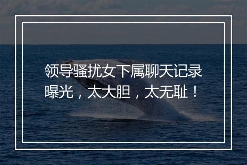 领导骚扰女下属聊天记录曝光，太大胆，太无耻！