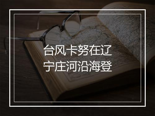 台风卡努在辽宁庄河沿海登