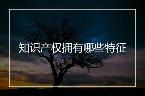 知识产权拥有哪些特征