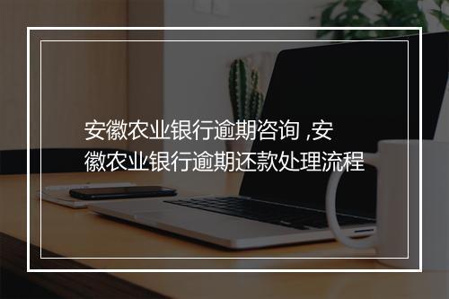 安徽农业银行逾期咨询 ,安徽农业银行逾期还款处理流程