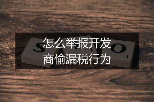 怎么举报开发商偷漏税行为