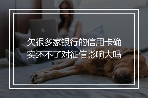 欠很多家银行的信用卡确实还不了对征信影响大吗