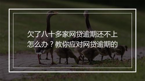 欠了八十多家网贷逾期还不上怎么办？教你应对网贷逾期的