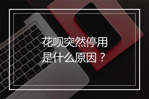 花呗突然停用是什么原因？
