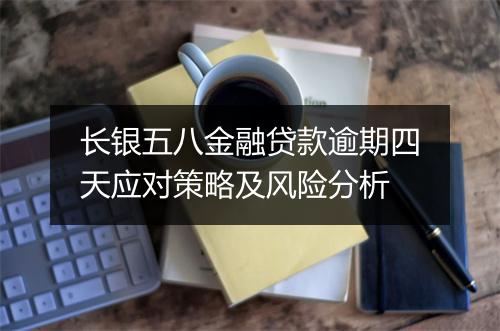 长银五八金融贷款逾期四天应对策略及风险分析