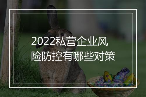 2022私营企业风险防控有哪些对策