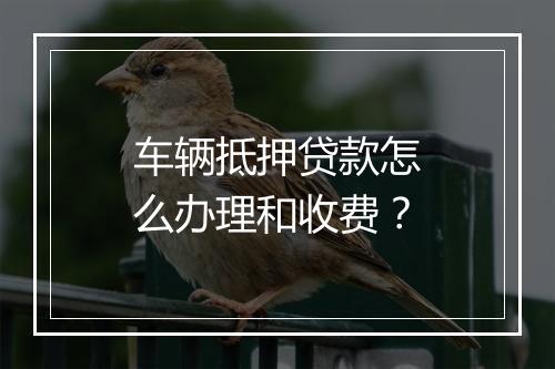 车辆抵押贷款怎么办理和收费？