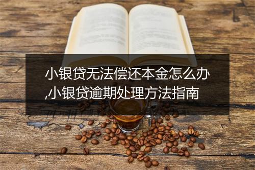 小银贷无法偿还本金怎么办,小银贷逾期处理方法指南