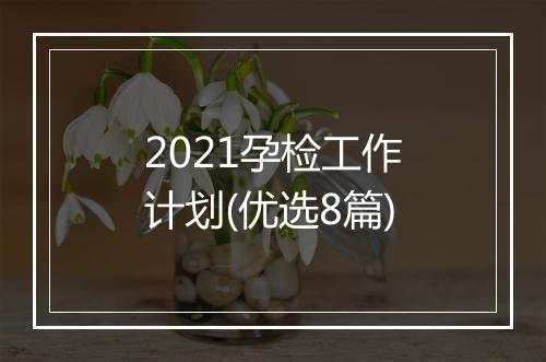 2021孕检工作计划(优选8篇)