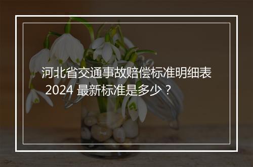 河北省交通事故赔偿标准明细表 2024 最新标准是多少？