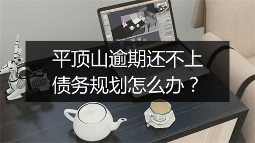 平顶山逾期还不上债务规划怎么办？